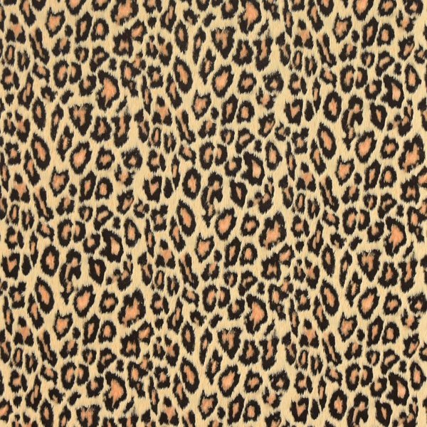 Fablon Leopard Adhesive Film Set of 2 TFAB12134